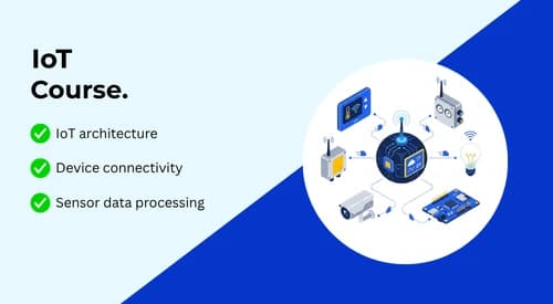 IoT