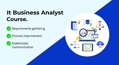 It Business Analyst
