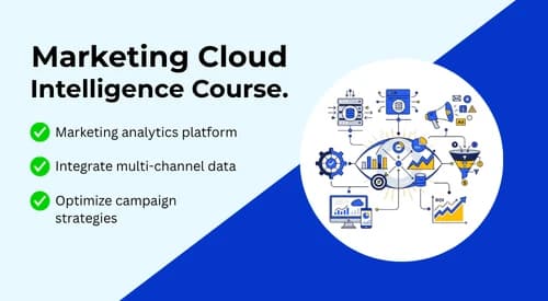 Marketing Cloud Intelligence