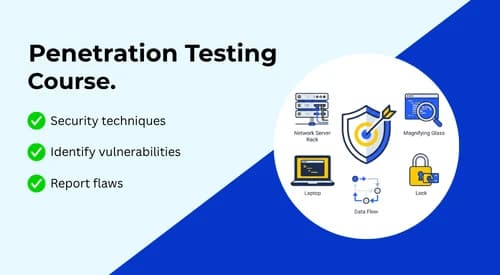 Penetration Testing
