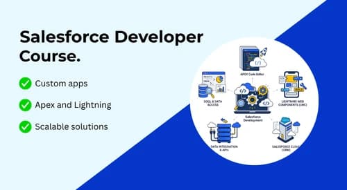 Salesforce Developer