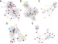 How much does it cost for AI?