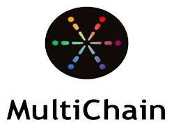 Blockchain or Multichain