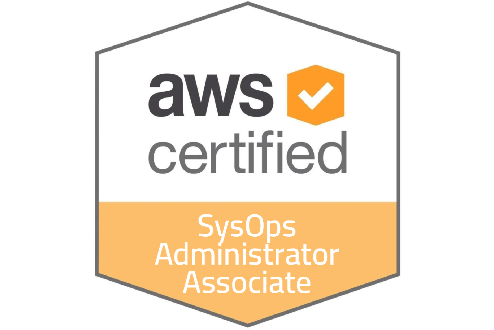 training for web developer